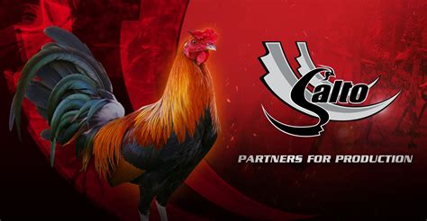 gamefowl feeds philippines|Our Gamefowl Feeds .